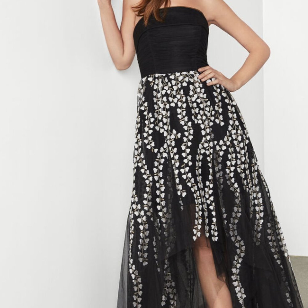 BCBGMAXAZRIA Embroidered Tulle Evening Dress